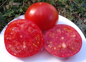 Семена томата сорта Brandywine OTV - Гиганты красные