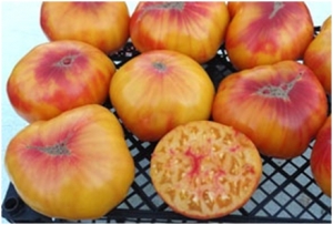 Семена томата сорта Burracker's Favorite (Бурракерские любимцы) - Гиганты двуцветные