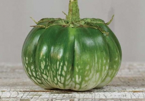 Семена баклажана сорта Камбоджи Грин Джайн