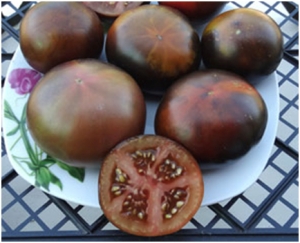 Семена томата сорта Chestnut Chocolate (Каштановый Шоколад) - Синие