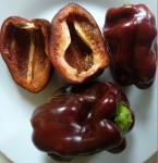 . Перец Chocolate Beauty