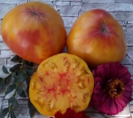 . Chupa Chups Bicolor (Чупа Чупс биколор)