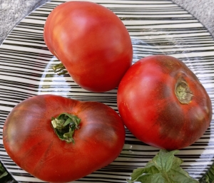 Семена томата сорта Chupa Chups red (Чупа Чупс красный) - Синие