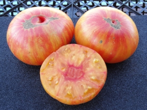 Семена томата сорта DSA - Гномы