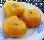 . Delta Diver (Дельта Дивер)