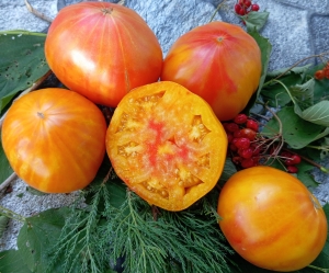 Семена томата сорта Deweese Streaked (Полосатый Дэвизе) - Гиганты двуцветные