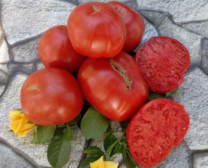 Семена томата сорта Diva de Deva (Дива де Дева) - Гиганты красные