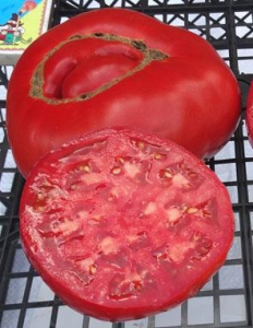 Семена томата сорта Dixiewine - Гиганты красные