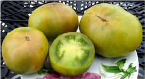 Семена томата сорта Dwarf Beryl Beauty (Гном Берилловая Красота) - Гномы