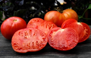 Семена томата сорта Dwarf Firebird Sweet (Гном Жар-птица сладкая) - Гномы