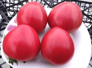 Семена томата сорта Dwarf Pink Passion (Гном Розовая Страсть) - Гномы