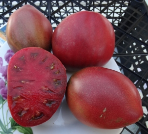 Семена томата сорта Dwarf Purple Heart (Гном Пурпурное Сердце) - Гномы