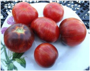 Семена томата сорта Dwarf Striped Balcan Tiger (Гном Полосатый Балканский Тигр) - Гномы