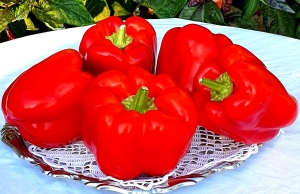 Семена перца сорта Flamingo