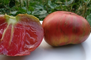 Семена сорта томата Fred's Tie Dye - Гномы