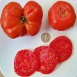 . Grandma Freida (Бабушка Фрида)