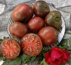 Семена сорта томата Gunmetal Grey (Серо-металлического цвета) - Шоколадные