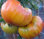 . Гавайский ананас (Hawaiian Pineapple)