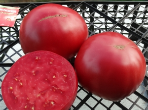 Семена томата сорта Heatherington Pink - Гиганты розовые