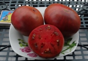 Семена томата сорта JPS-Srecial C-TCV (Cпециальный ТЕХ) - Гномы