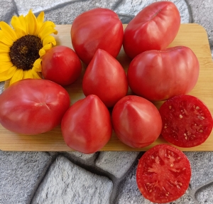 Семена томата сорта KAS-19 - Гиганты сердцевидные