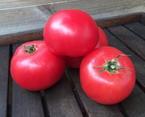 Семена томата сорта Kansas Depression (Канзасская Низина, Канзасская Депрессия) - Гиганты розовые