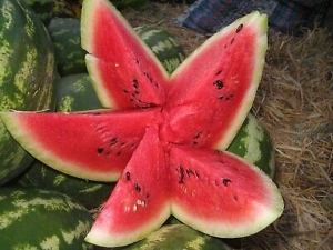 Семена арбуза сорта Klondike RS57