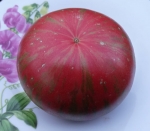 . Kozula 127 (Козула 127)