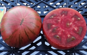 Семена сорта томата Kozula 127 (Козула 127) - Полосатые