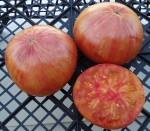 . Kozula 136 (Big Flat Yellow)