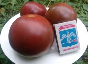 Семена сорта томата Kozula 147 (Козула 147) - Шоколадные