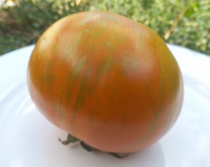 Семена томата сорта Kozula 179 - Полосатые