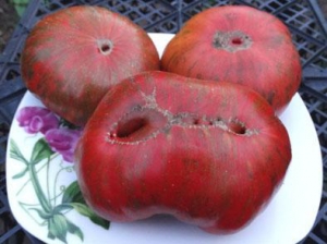 Семена сорта томата Kozula 24 - Шоколадные