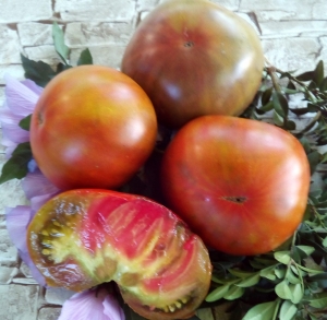 Семена сорта томата Козула 72 (Kozula 72 Israeli Striped X Big Zebra) - Полосатые