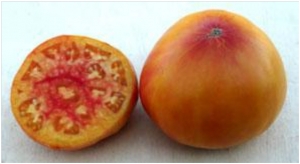 Семена томата сорта Manhattan Bicolor - Гиганты двуцветные