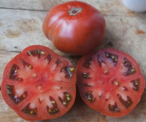 Семена сорта томата Dwarf Maralinga (Гном Миралинга) - Гномы