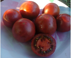 Семена томата сорта Marizol Korney - Шоколадные