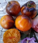 . Merk Rokey (Мерк Рокей)