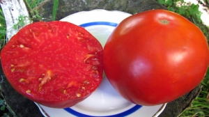 Семена томата сорта Merveille De Rochemont (Чудо Рошемона) - Гиганты красные