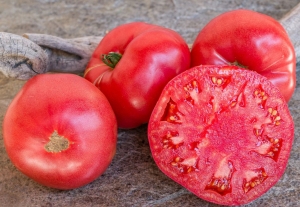 Семена томата сорта Mortgage Lifter - Radiator Charlie's (Поднятая ипотека) - Гиганты розовые