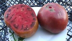 Семена томата сорта Noire Charbonneuse (Черный как уголь) - Шоколадные