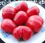 . Ovita (Овита)