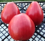 . Pink Oxheart (Розовое бычье сердце)