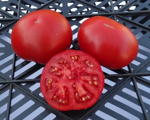 Семена томата сорта Platte Vierländer (Платт Виерландер) - Гиганты красные