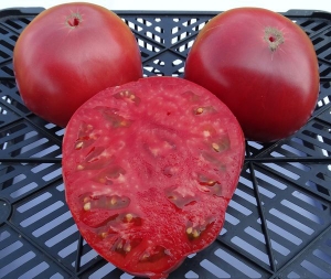 Семена томата сорта Pombriego del Bierzo (Помбриего дель Бьерсо) - Гиганты розовые