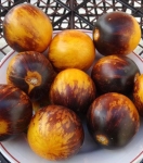 . Primary Colors (Основные цвета)