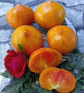 Семена томата сорта Rainbow Jazz Heart (Радужный джаз сердце) - Гиганты сердцевидные