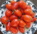 . Re Umberto (Ре Умберто)