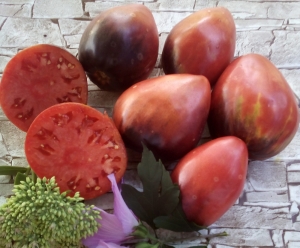 Семена томата сорта Sgt. Pascal - Синие