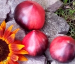 . Sgt. Peppers Bluehills (Синие горы Сержанта Пеппера)